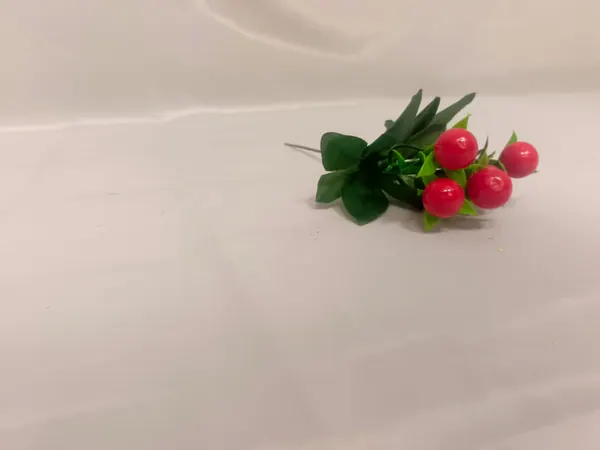 Букет Бордюрный, клюква (19 см)